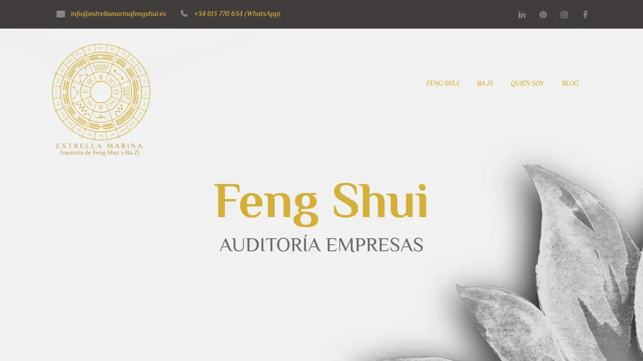 Proyecto Feng Shui y Bazi - Estrella Marina - Asesoría Feng Shui Tenerife - SEO Servicios - Caso de éxito Estrella Marina - Feng Shui y Bazi