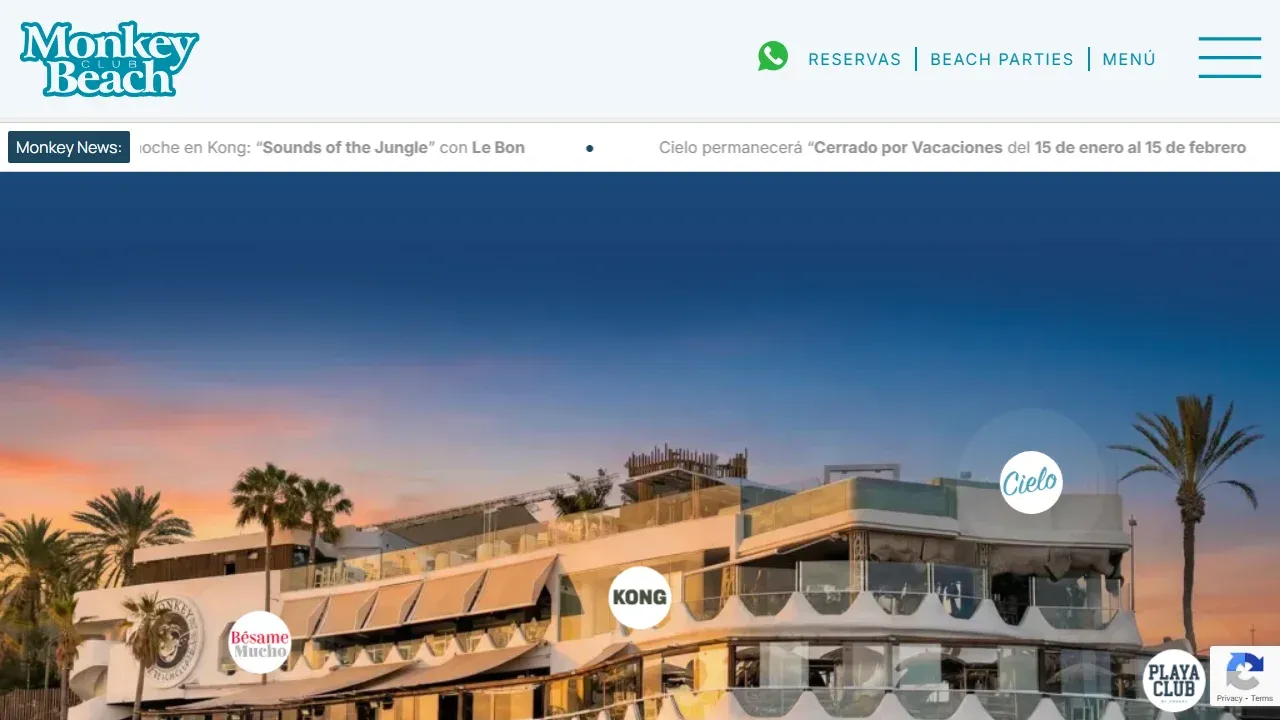 Proyecto Monkey Bravo Italia - Restaurante Italiano Tenerife - SEO Gastronómico - Caso de éxito Monkey Bravo Italia